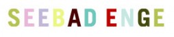 Logo Seebad Enge